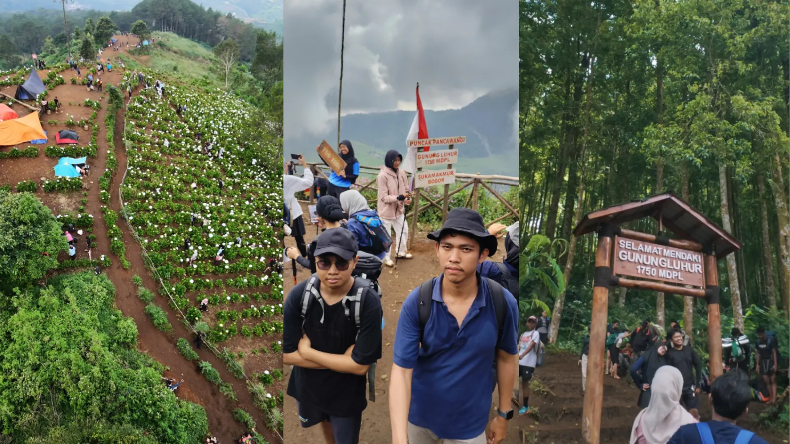 Pengalaman Pertama Naik Gunung (Tektok Gunung Luhur)